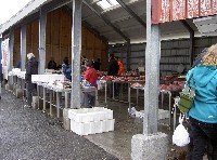 pict6866_t1.jpg