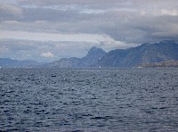pict6890_t1.jpg
