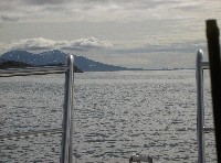 pict6891_t1.jpg