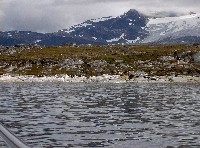 pict6892_t1.jpg