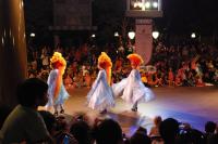 dsc_4889_t1.jpg