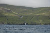 dsc_7855_t1.jpg